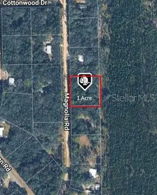 209 Magnolia Road, Hawthorne, FL 32640 - #1