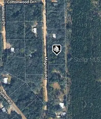209 Magnolia Road, Hawthorne, FL 32640 - #3