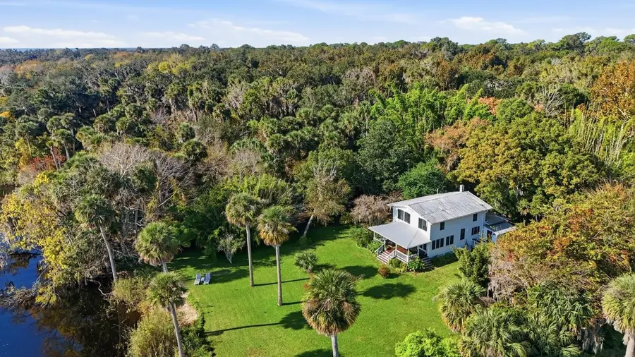 266 Drayton Island Road, Georgetown, FL 32139 - Image #3