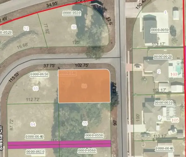 104 Village Drive, WELAKA, FL 32193