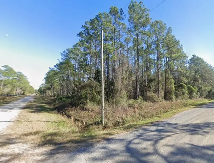 4375 Nancy Street, Hastings, FL 32145 - Image #2