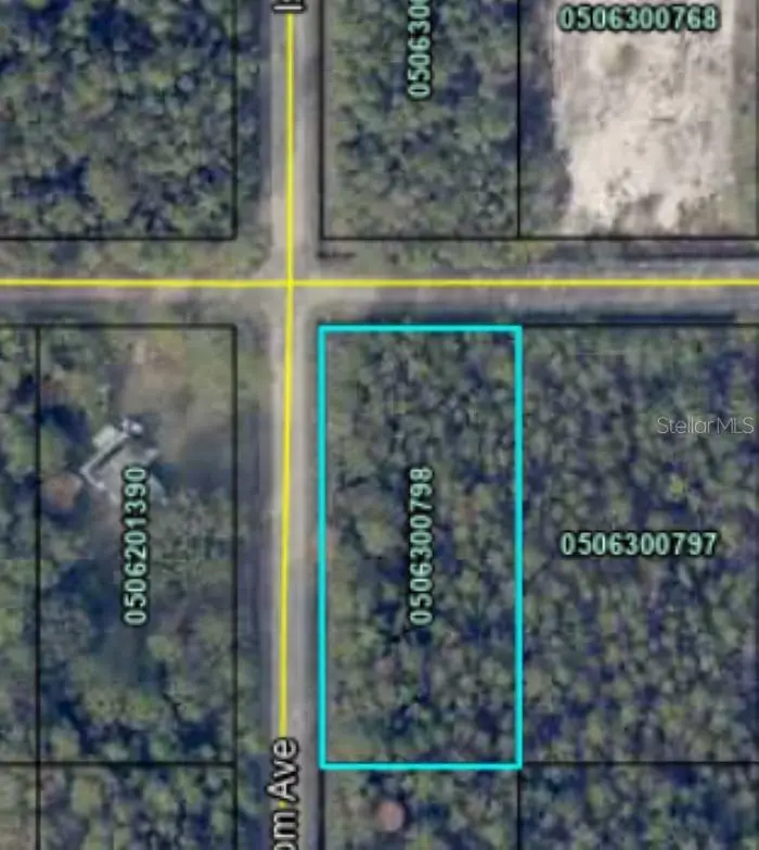 4375 Nancy Street, Hastings, FL 32145 - Image #3