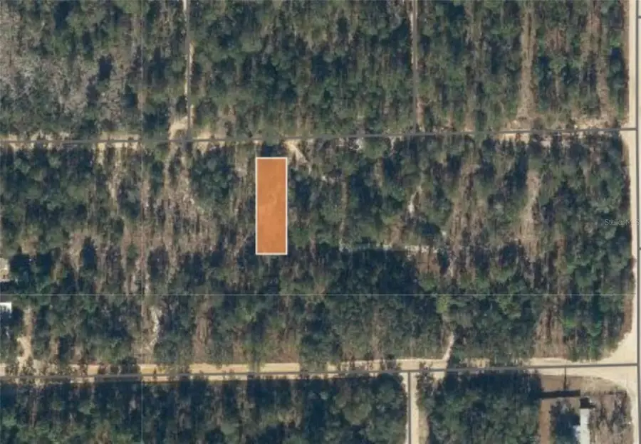 00 Unassigned Road, Interlachen, FL 32148 - Image #3