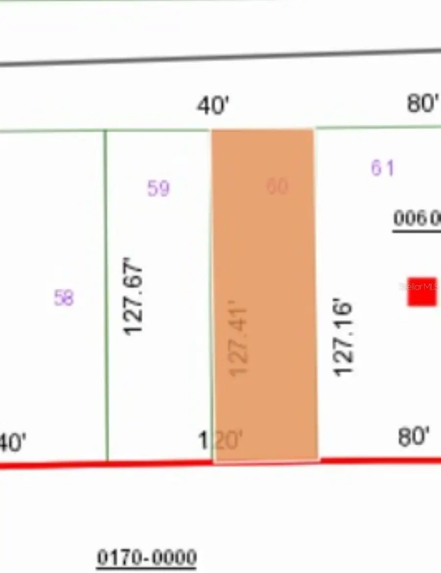 0 Unassigned Road, Interlachen, FL 32148 - Image #3