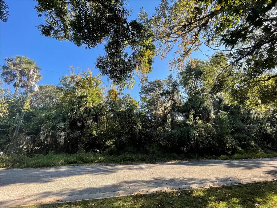 Creek Bluff Run, Flagler Beach, FL 32136 - Image #2