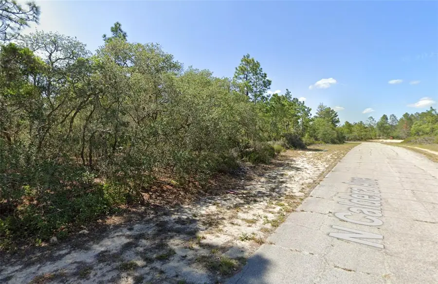 10660 N Caldera Avenue, Dunnellon, FL 34433 - Image #2