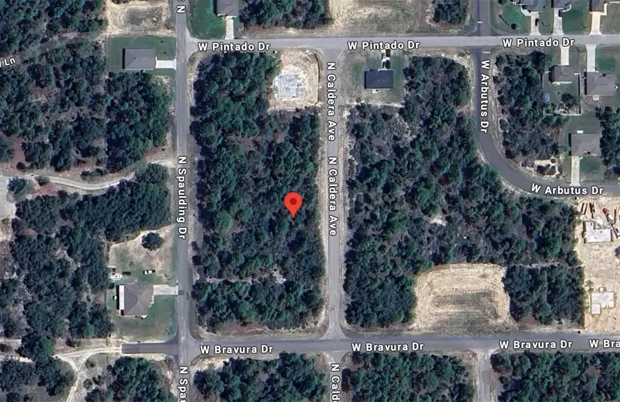 10660 N Caldera Avenue, Dunnellon, FL 34433 - Image #3