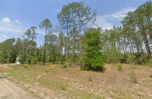 10846 N Letterwood Way, DUNNELLON, FL 34434