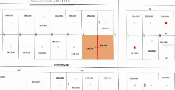 336 Gardenia Avenue, GEORGETOWN, FL 32139