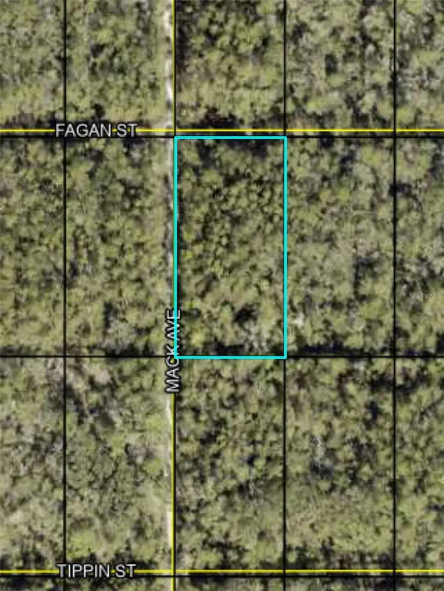 Fagan, Hastings, FL 32145 - Image #2