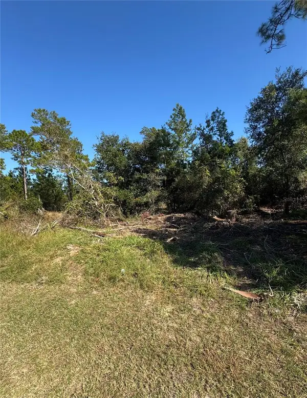 19 Freeport Lane, PALM COAST, FL 32137