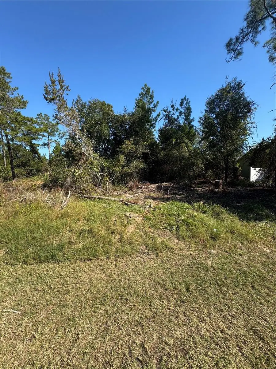 19 Freeport Lane, Palm Coast, FL 32137 - Image #2