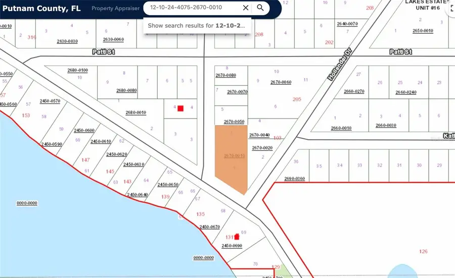 00 Martha Ave, Interlachen, FL 32148 - Image #3