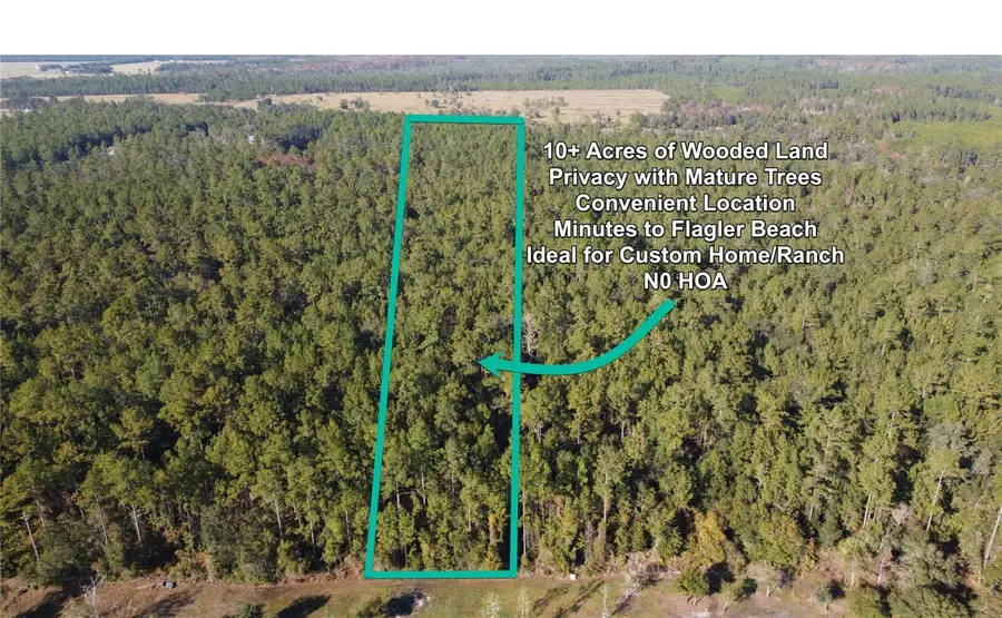 4619 State Hwy 100 W, Bunnell, FL 32110 - Image #2