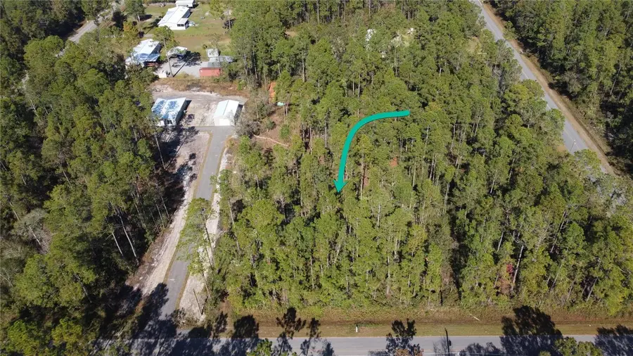 4150 Melanie Street, Hastings, FL 32145 - Image #3