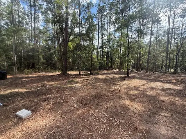 10535 Flikkema Ave, Hastings, FL 32145 - Image #3