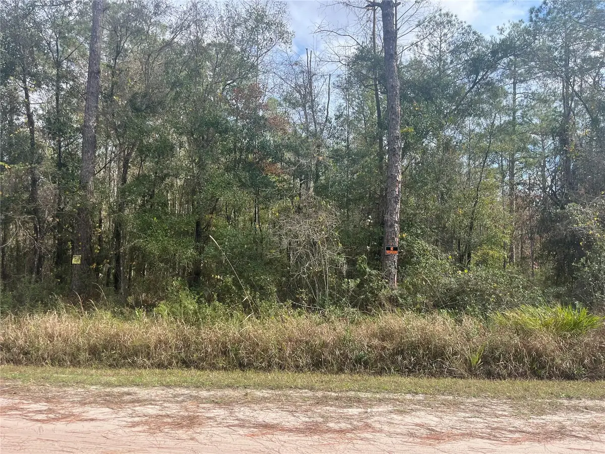 10530 Gregory Ave, Hastings, FL 32145 - Image #1