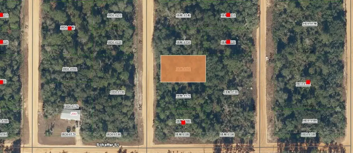 00 Creager Avenue, Interlachen, FL 32148 - Image #1