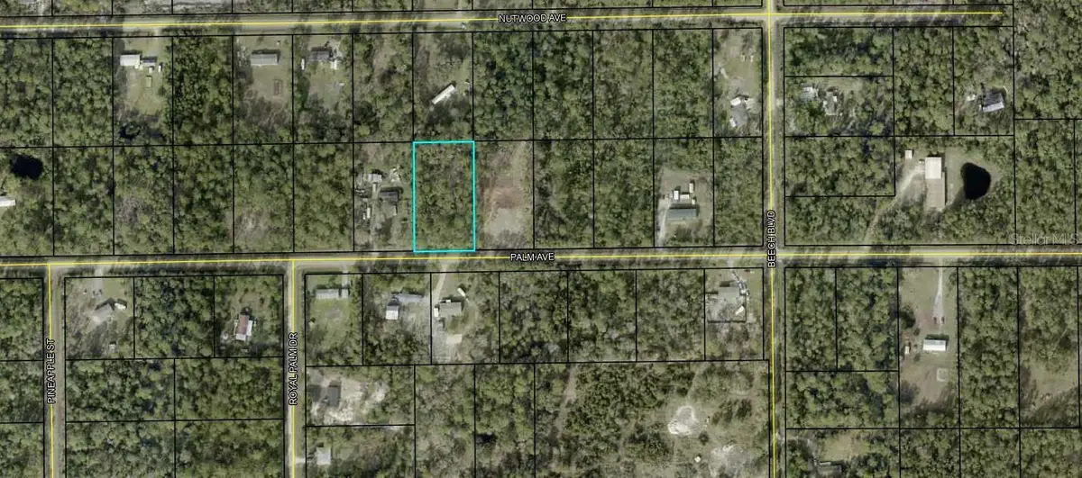 5638 Palm Avenue, Bunnell, FL 32110 - Image #1
