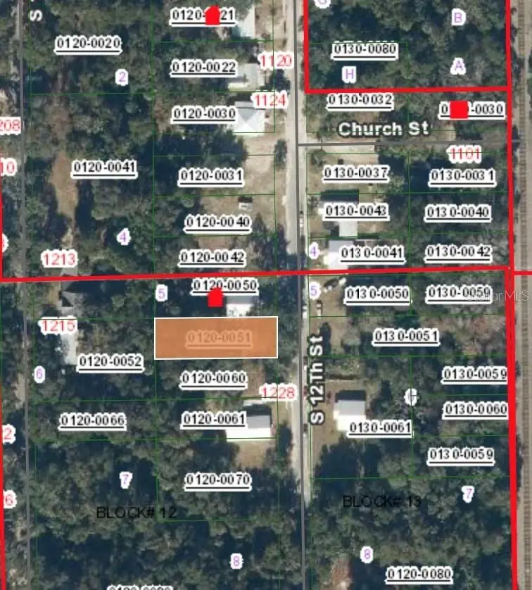303 Milton Avenue, Interlachen, FL 32148 - Image #3