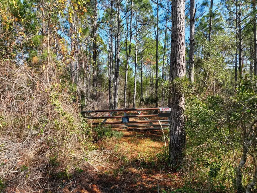 0 Boise Lane, Ormond Beach, FL 32174 - Image #2