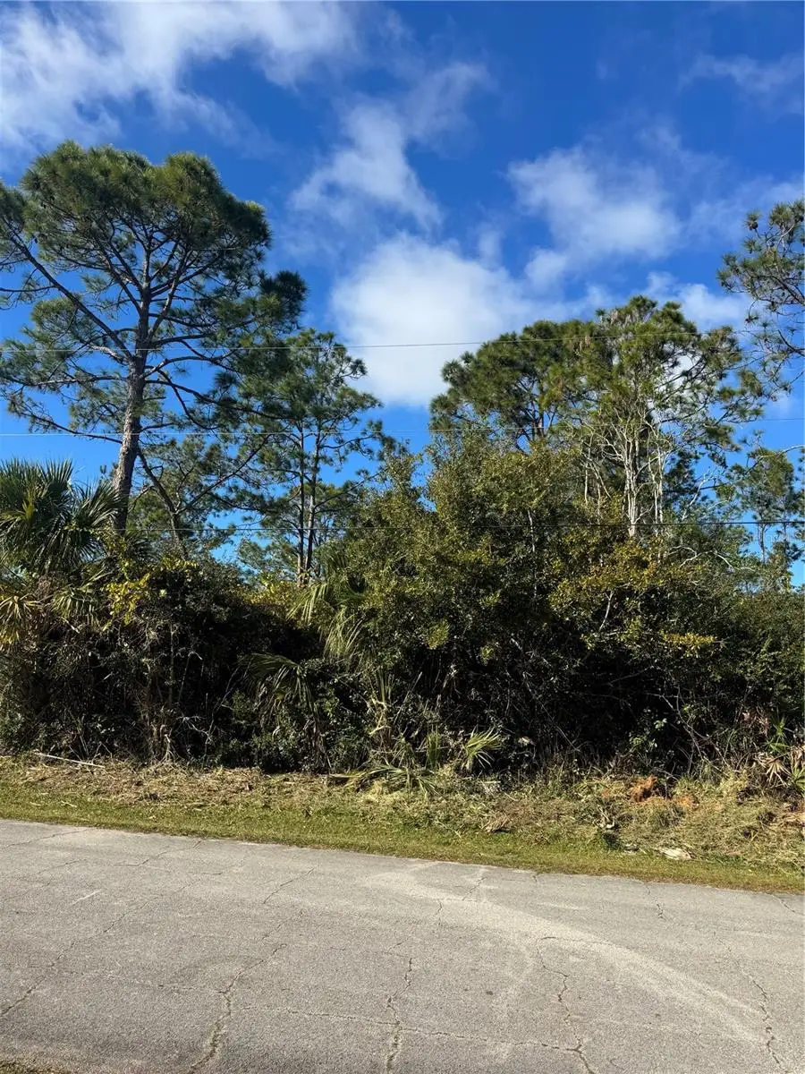 50 Wheeling Lane, Palm Coast, FL 32164 - Image #3