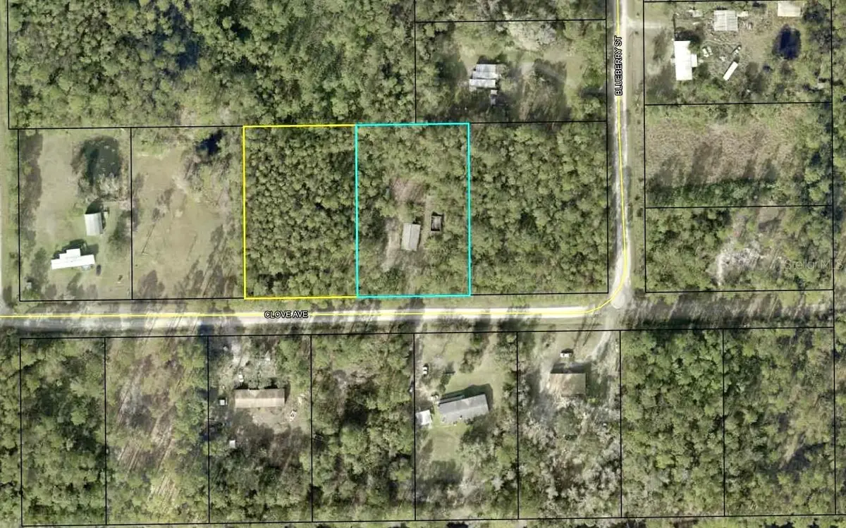 4374 Clove Avenue, Bunnell, FL 32110 - Image #1