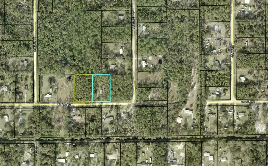 4374 Clove Avenue, Bunnell, FL 32110 - Image #2
