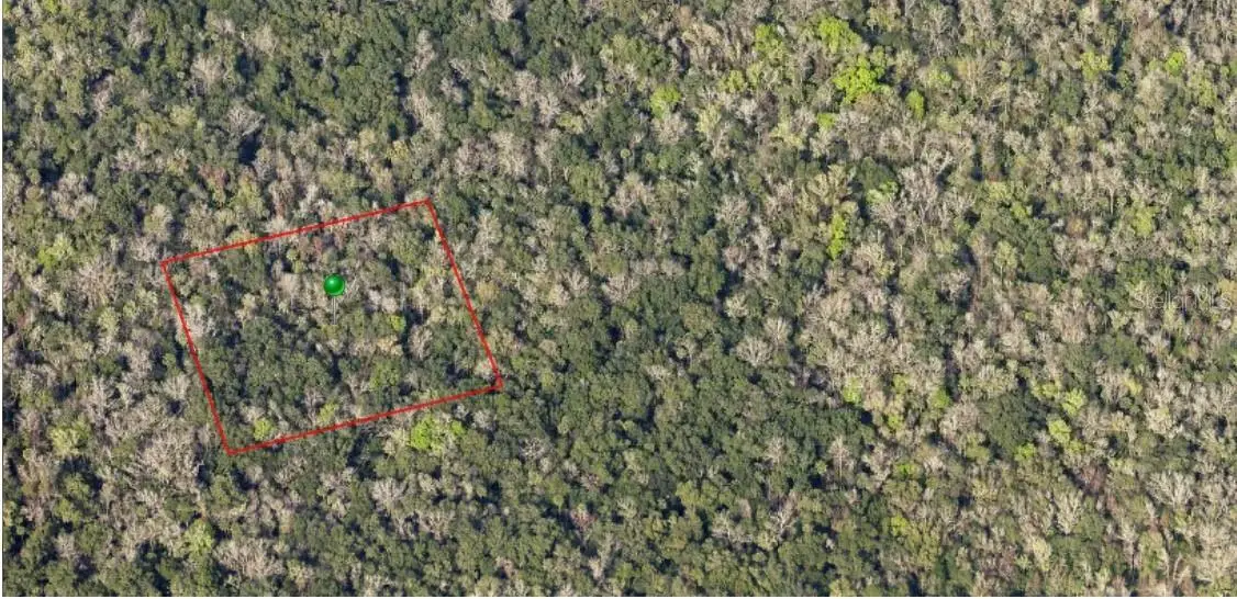 000 Reed Grove Road, Oak Hill, FL 32759 - Image #1