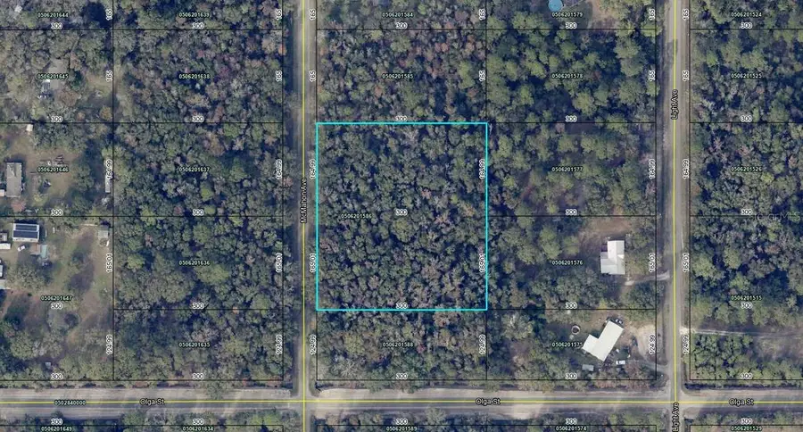 10040 Mcmahon Avenue, Hastings, FL 32145 - Image #3