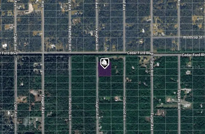 10410 Vaughan Avenue, Hastings, FL 32145 - Image #2