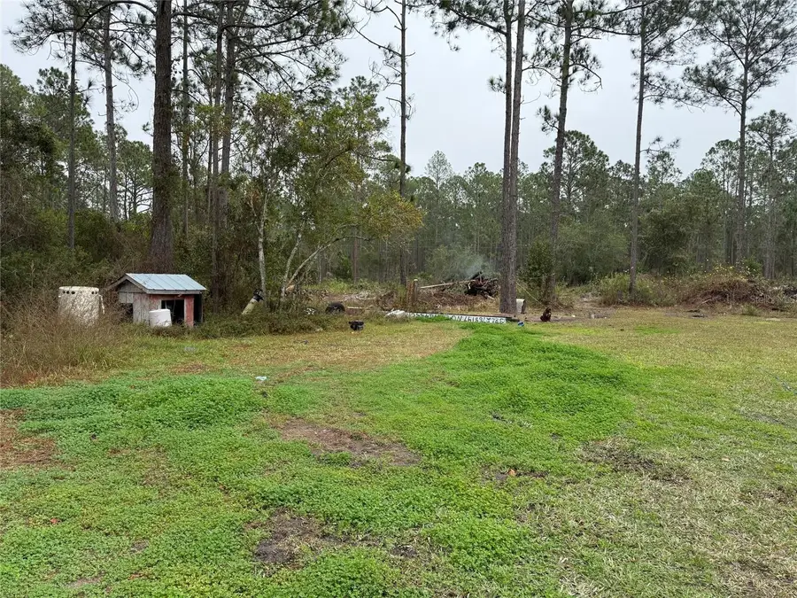 4177 Fruitwood Avenue, Bunnell, FL 32110 - Image #3