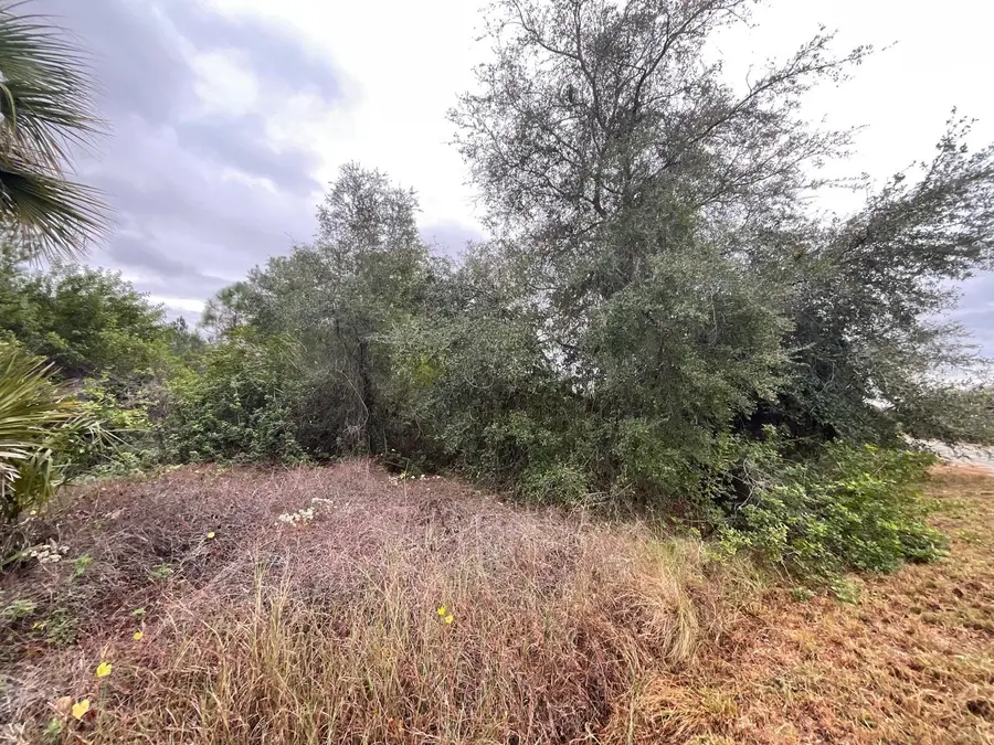 1608 Scott Avenue, Lehigh Acres, FL 33972 - Image #2