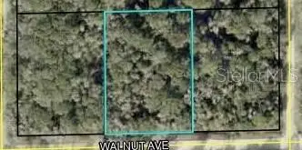 6502 Walnut Avenue, Bunnell, FL 32110 - Image #2