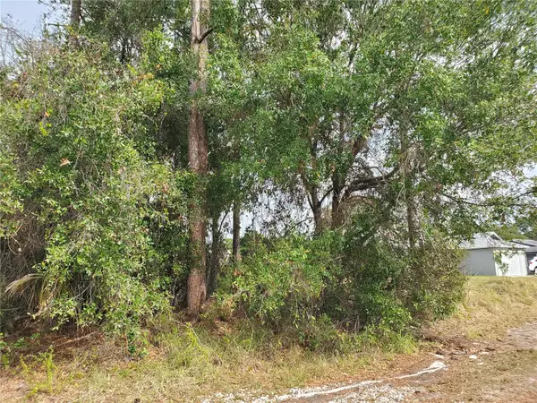 1009 SW Castaneda Lane, PORT ST LUCIE, FL 34953