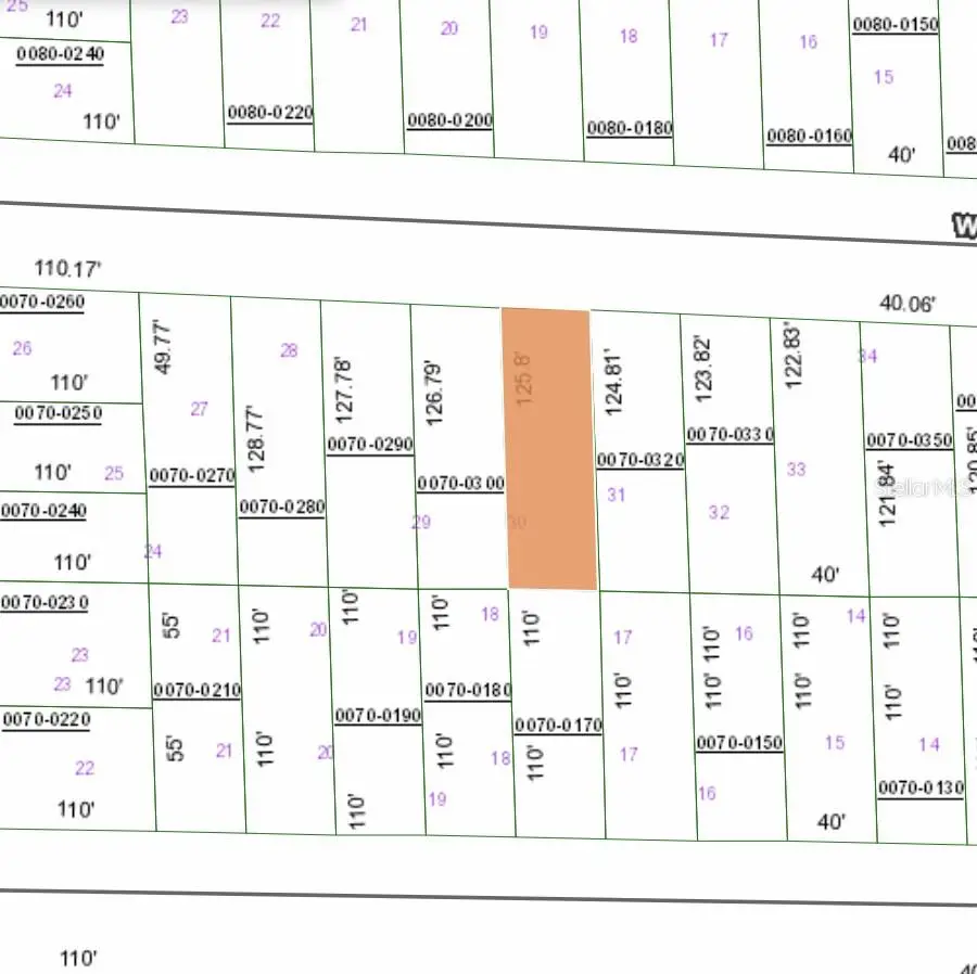 127 West Virginia Street, Hawthorne, FL 32640 - Image #3