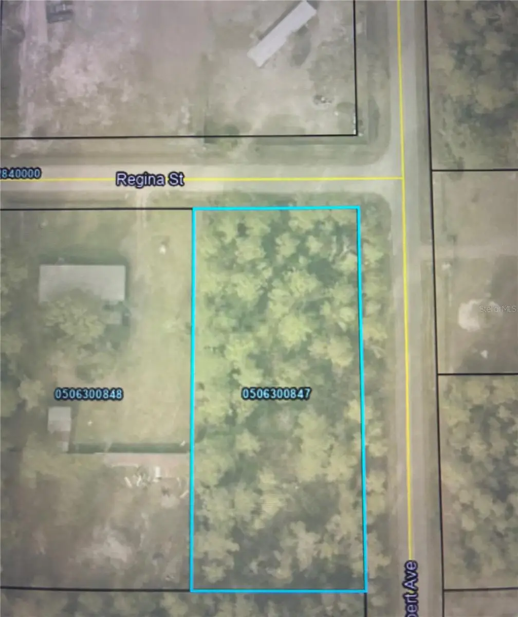 4205 Regina Street, Hastings, FL 32145 - Image #1