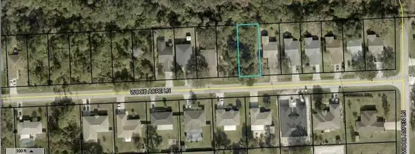 45 Wood Acre Lane, PALM COAST, FL 32164