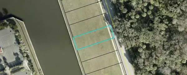 234 Harbor Village Point N, PALM COAST, FL 32137