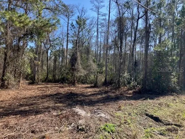 1881 Hazelnut Street, Bunnell, FL 32110 - Image #2