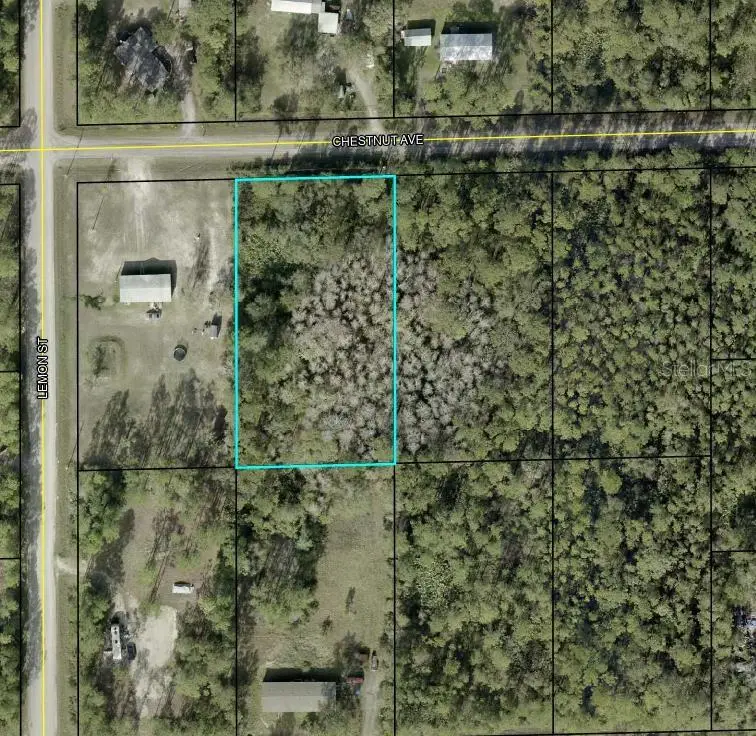 5603 Chestnut Avenue, Bunnell, FL 32110 - Image #1