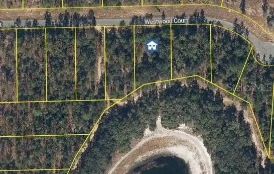 115 Westwood Court, Interlachen, FL 32148 - #1