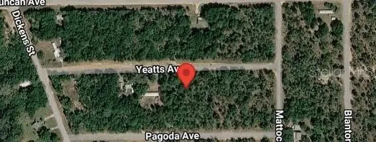 111 Yeatts Avenue, Interlachen, FL 32148 - #2