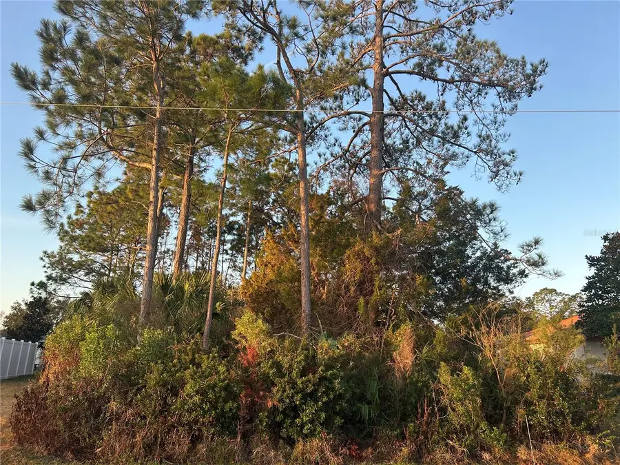 4 White Hall Drive, Palm Coast, FL 32137 - #2