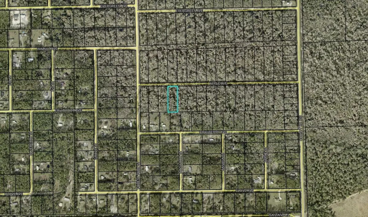 3853 Apple Avenue, Bunnell, FL 32110 - #1