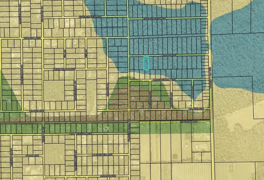 3853 Apple Avenue, Bunnell, FL 32110 - #2