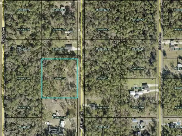 10055 Flikkema Avenue, HASTINGS, FL 32145
