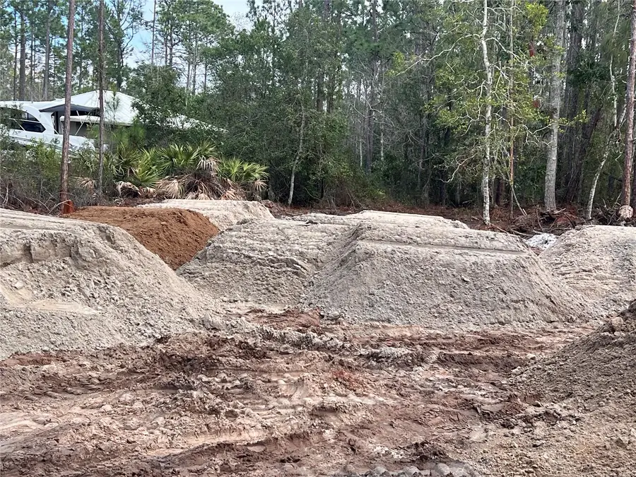 2217 Lancewood Street, Bunnell, FL 32110 - #2