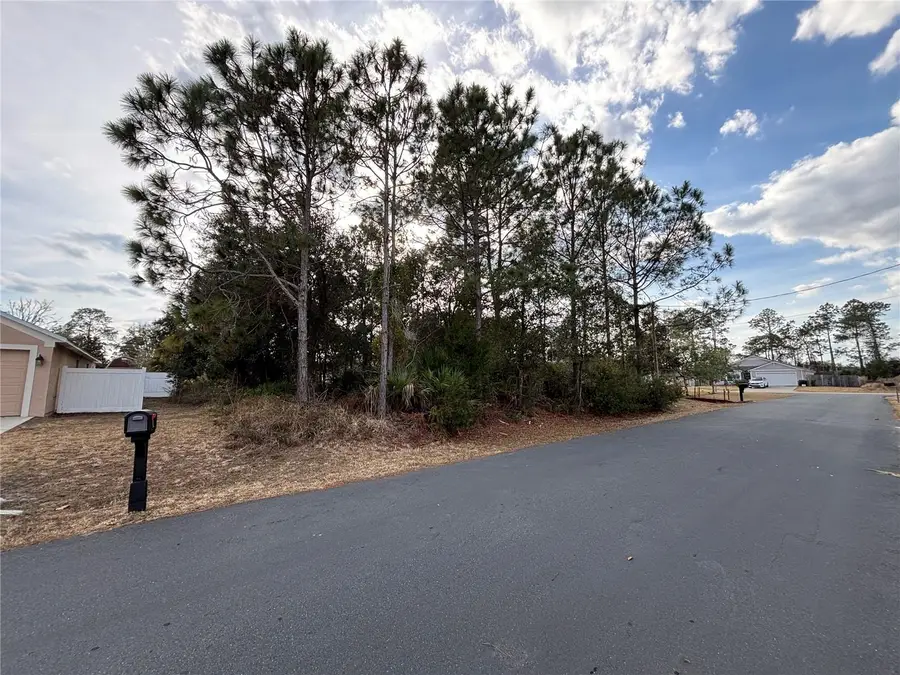 4 Royal Leaf Lane, Palm Coast, FL 32164 - #3