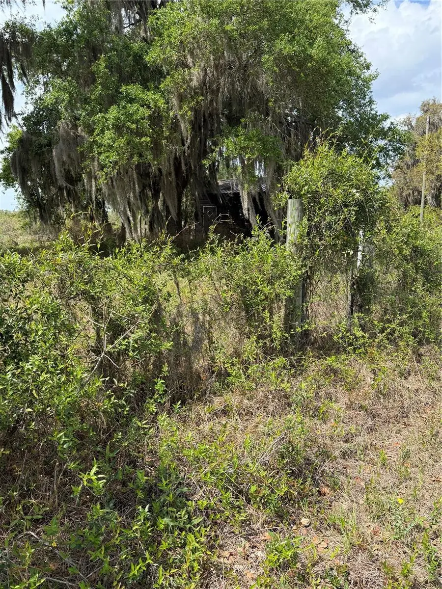 14575 W State Hwy 100 Highway, Bunnell, FL 32110 - #3